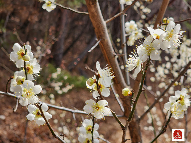 지리산 토봉암 순례